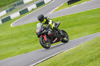 cadwell-no-limits-trackday;cadwell-park;cadwell-park-photographs;cadwell-trackday-photographs;enduro-digital-images;event-digital-images;eventdigitalimages;no-limits-trackdays;peter-wileman-photography;racing-digital-images;trackday-digital-images;trackday-photos